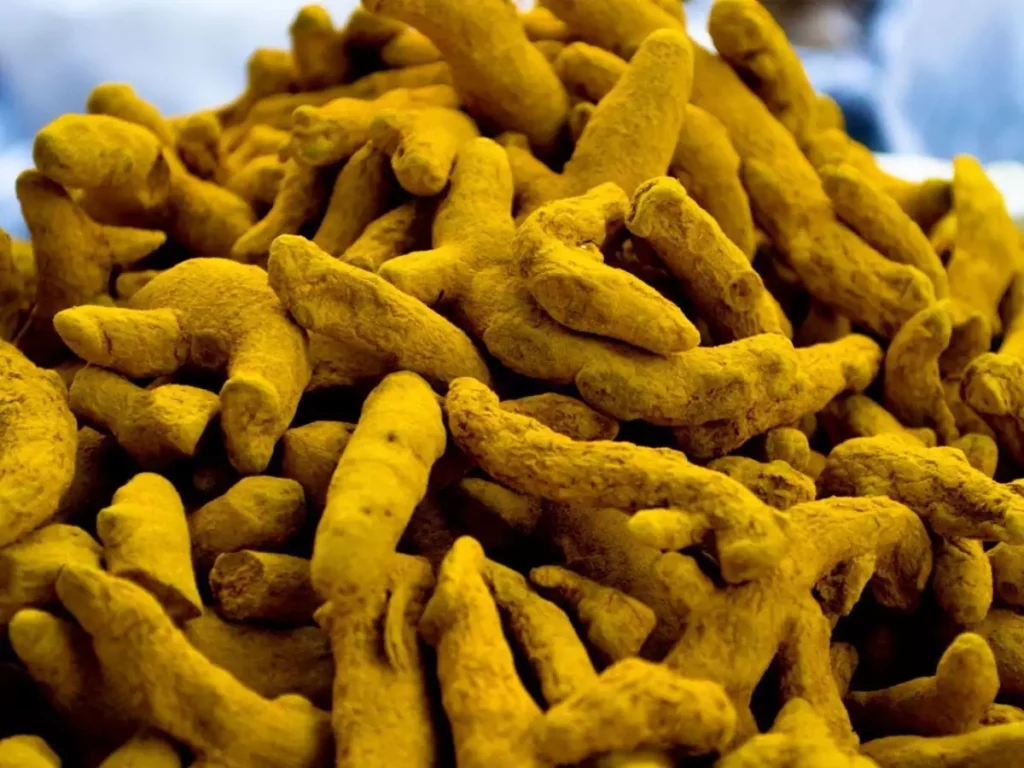 Turmeric Exports